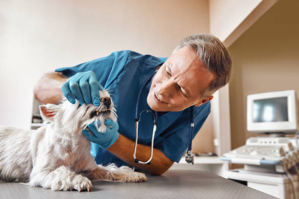Best 24-Hour Emergency Dentist in Marietta, OH
